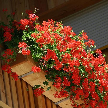 Hotel Schoene Aussicht คาร์ทิทช์ ภายนอก รูปภาพ