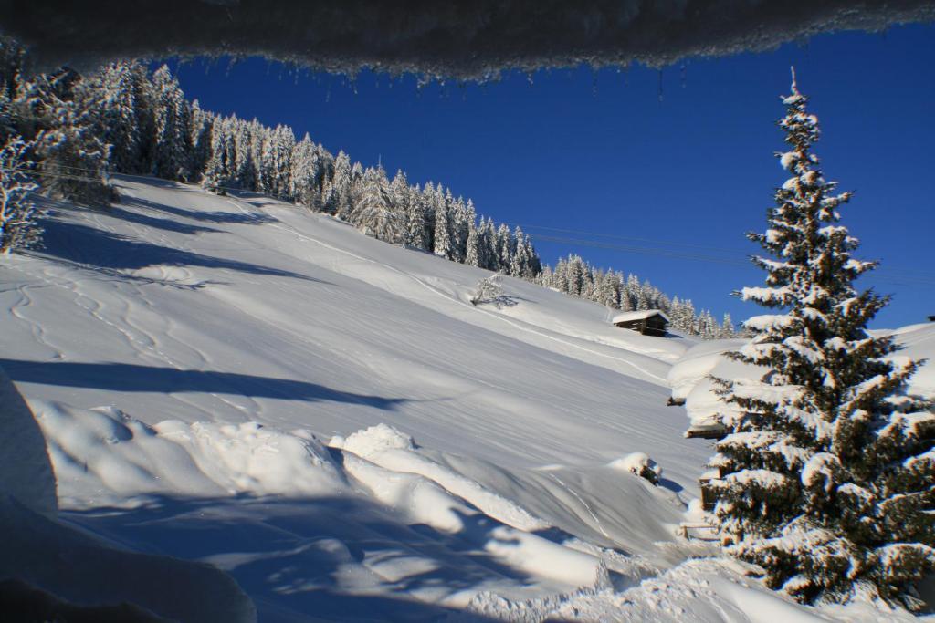 Hotel Schoene Aussicht คาร์ทิทช์ ห้อง รูปภาพ